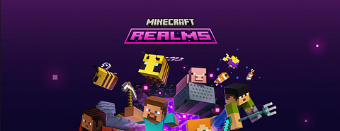 Survival in Minecraft JAVA edition