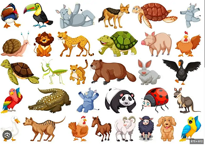 Young Naturalists Club: Explore Animals of the World