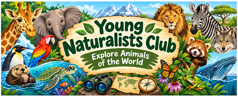 Young Naturalists Club: Explore Animals of the World